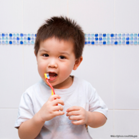 12 Months - 15 months