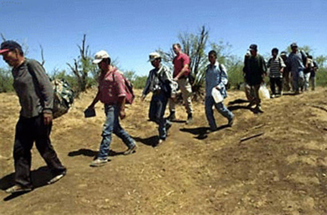 Census Estimates 2 to 4 Million Illegal Aliens in US with about Half from Mexico