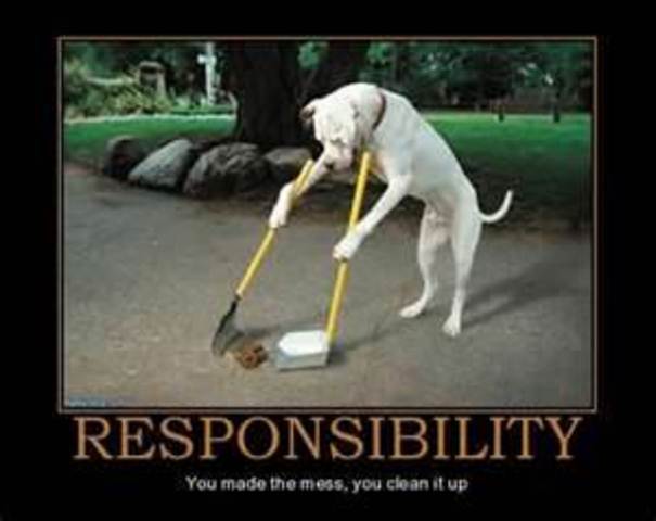 Be willing to accept responsibility
