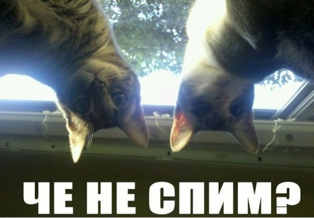 Тема 11. Создание сайта с помощью сервиса «Сайты Гугл»