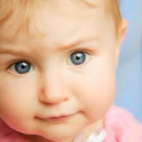 16-18 months- cognitive development