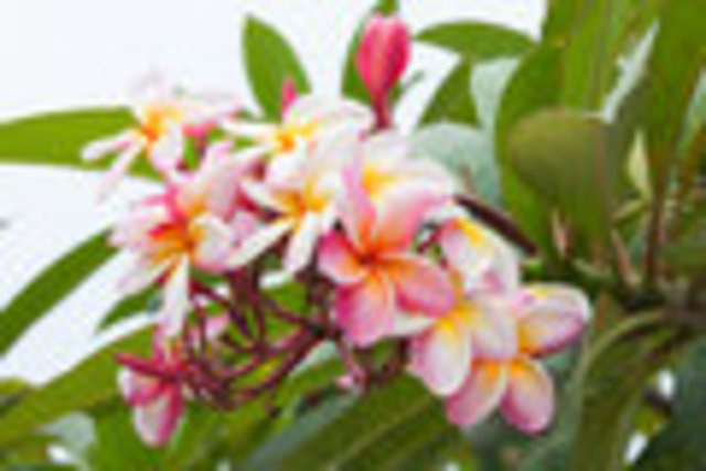 Be sure to let the Attorney/Office Manager know when you are having trouble completeing an assignement.