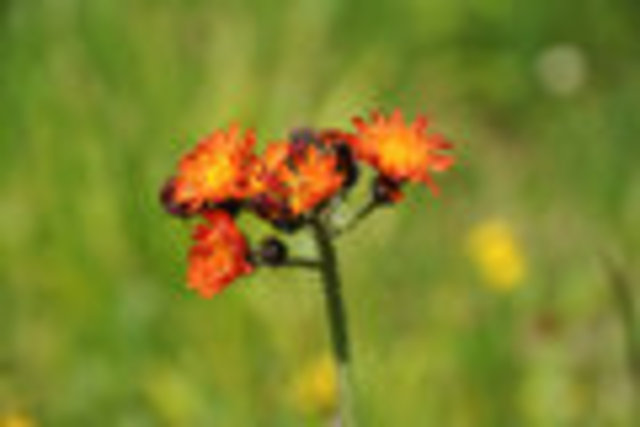 Recieve Instructions