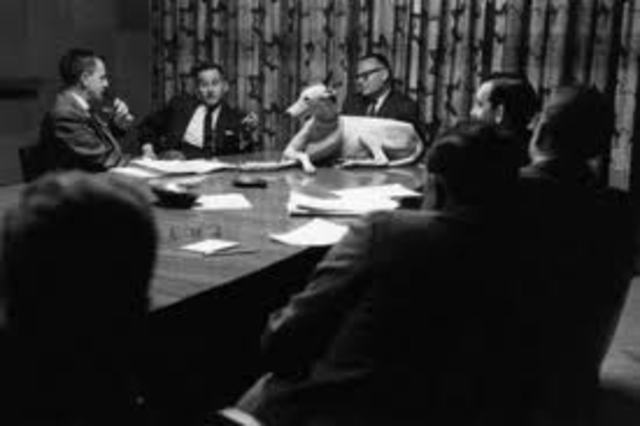 The Consultation Starts