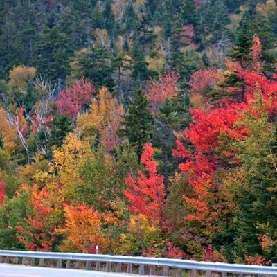 Timeline: Past continuous - daily activities