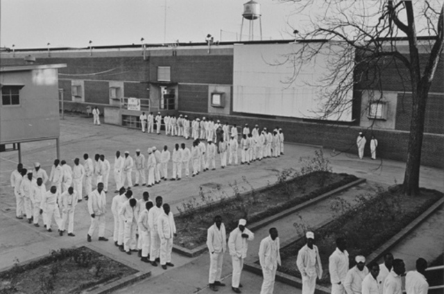 Hoe sharpener and the Line