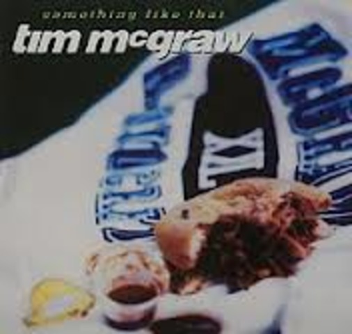 Something Like That by Tim Mcgraw
