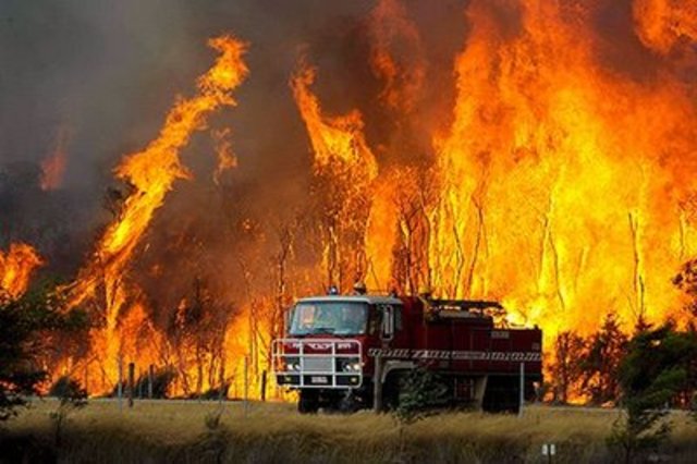 BIG bush fire