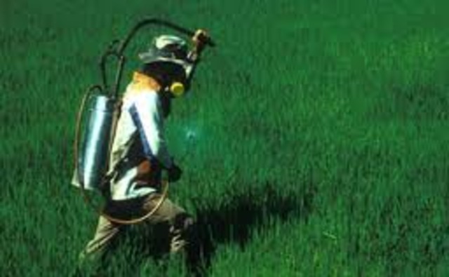 Publication of Silent Spring.