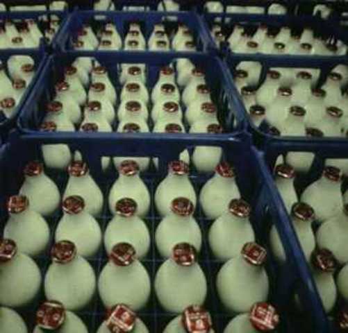 EU Milk Products Banned in HK
