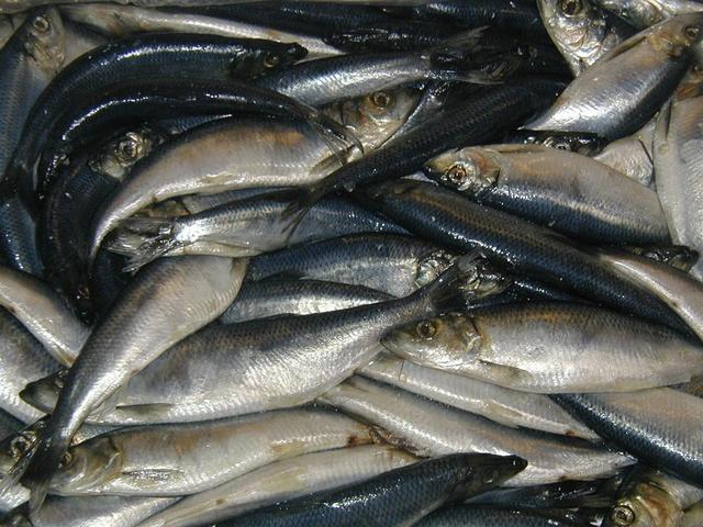 Recieves weekly allowance of food