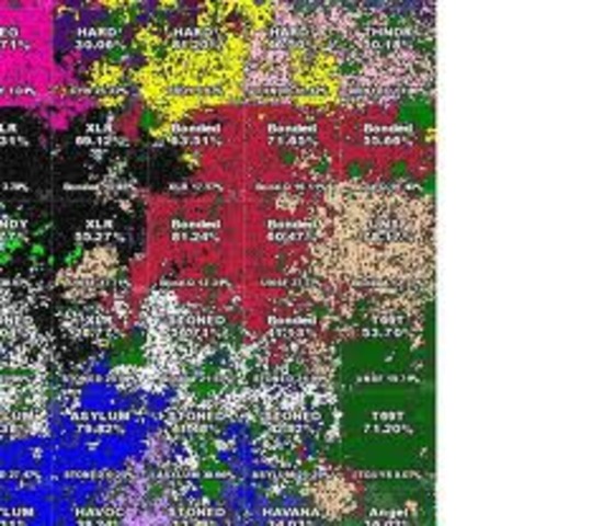 United Nations Security Force in West New Guinea