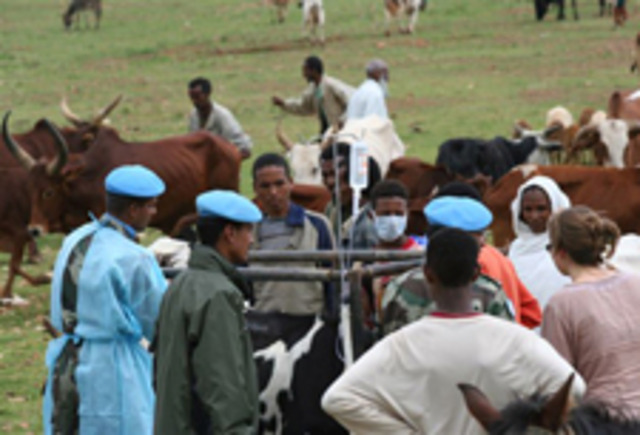 United Nations Mission in Ethiopia & Eritrea