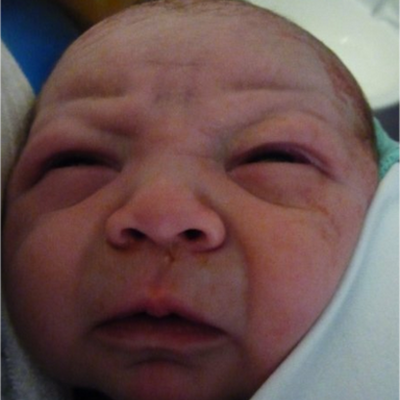 Timeline: Sarrionandiaren denbora-lerro ederra (Idoina)