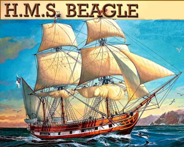 Starts voyage on Beagle