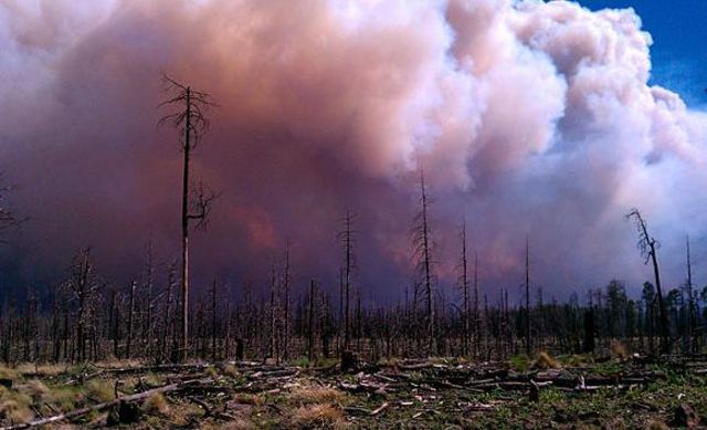New Mexico Gila Wilderness fire