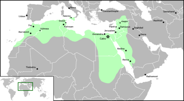 Egypt is Conqured by Fatimids