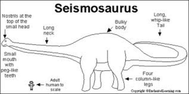 Seismosaurus (Earth Shaker)