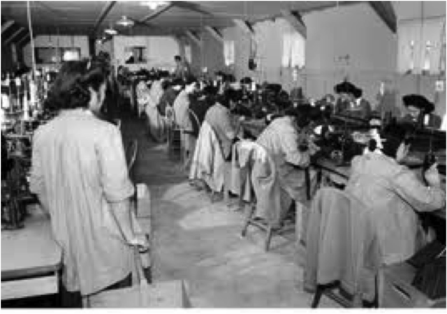 Japanese Immigration