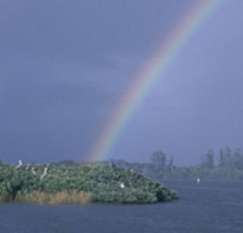 Hawaiian Organic Act