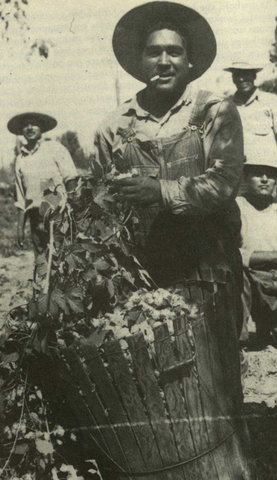 Alien Contract Labor Law