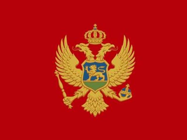 Montenegro delcares war
