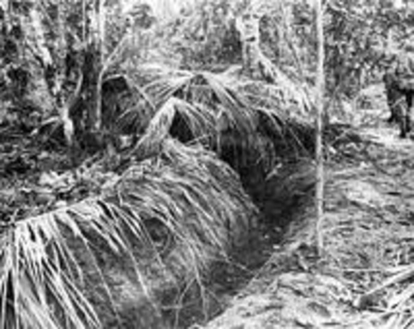 australia defeated at efogi, japanese landing at milne bay