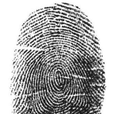 Fingerprinting