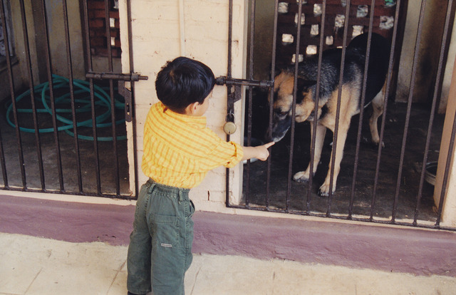 IT'S A DOOOOOGGGGG!!!!!!!!!!