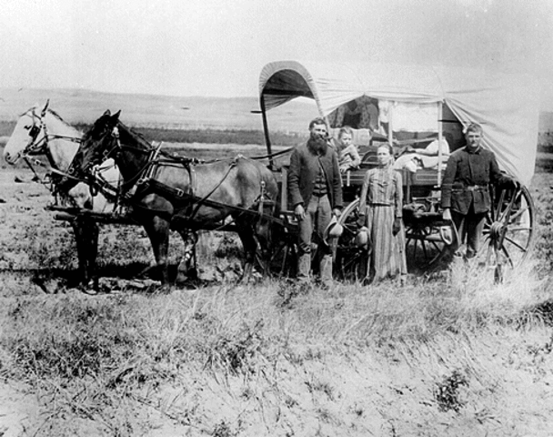 American Homestead Act