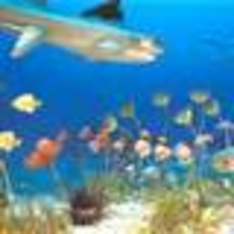 Mississippian period