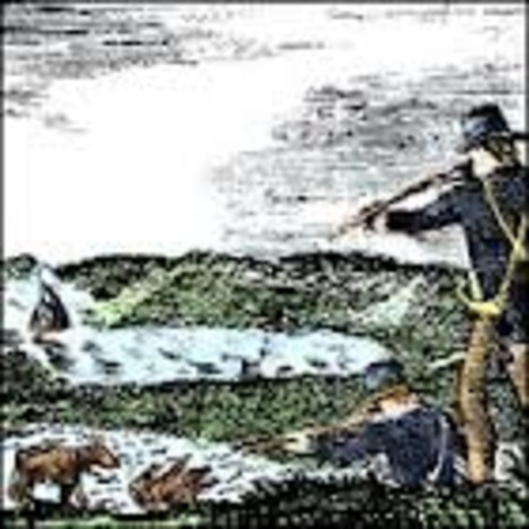 Into Grizzly Country