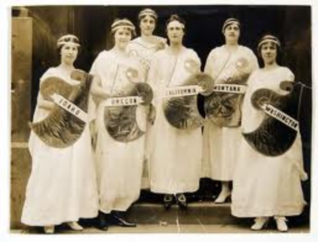 National American Woman Suffrage Association (NAWSA)