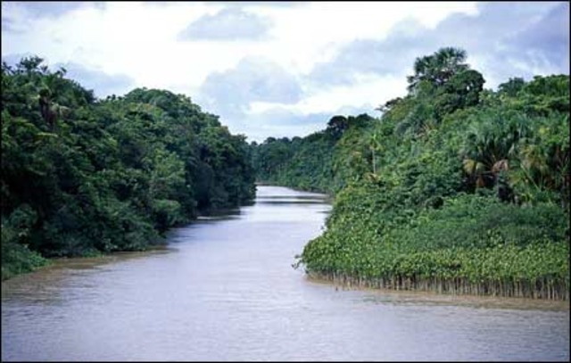 Pinzon Vicente sailed on the Amazon River.