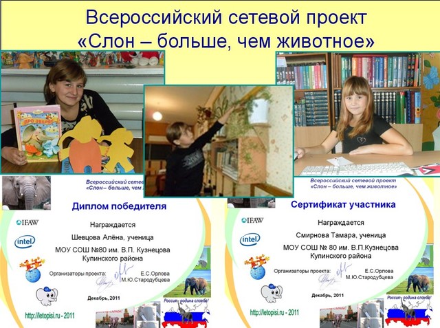 «Слон – больше, чем животное»