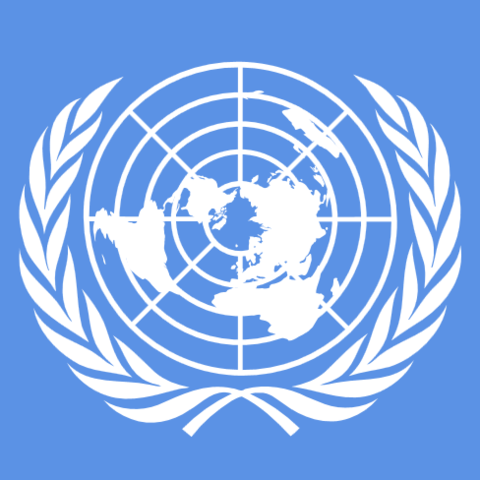 Formation for the United Nations