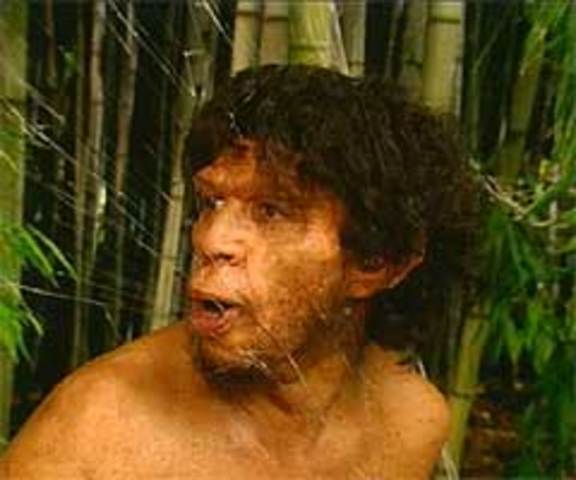 Homo Erectus