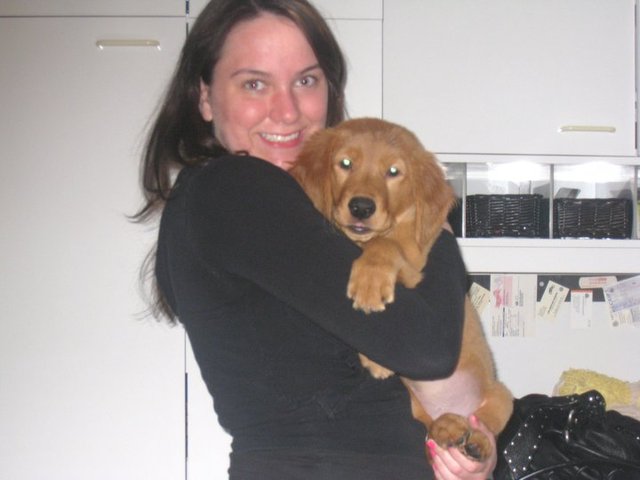 Started healing from the loss of my Golden Retriever Dharma with the help of my new puppy Oakley.  We finally started to form a bond.