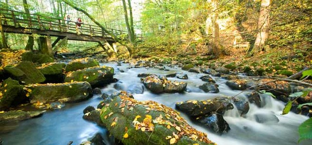 Hitler sends troops into Rhineland of Germany in violation of the Versailles treaty