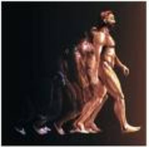 homo sapiens sapiens