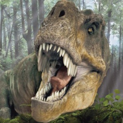 when dinsours was known