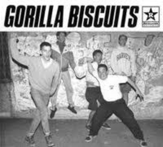 2nd Wave of D.C. Straight Edge Punk