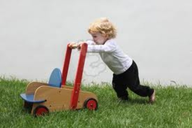 16 to 18 months physical