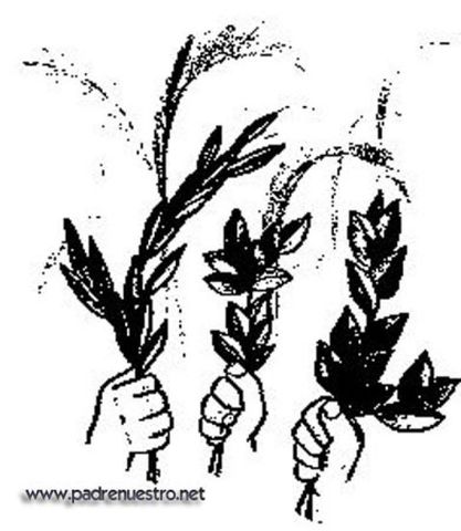 Peticion del Ramo de Olivo