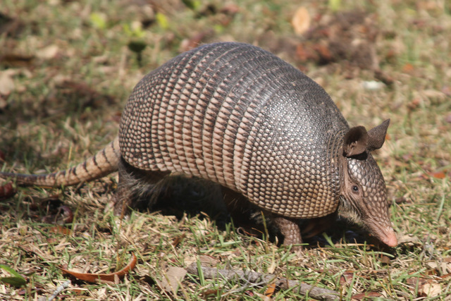 First trip to Cunberland islands!