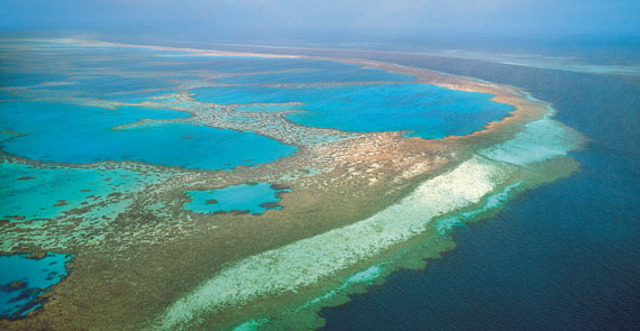 The H.M.S Endeavour struck the Great Barrier Reef