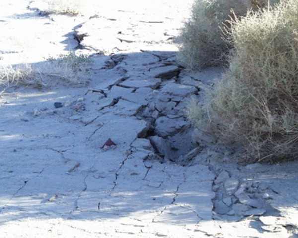 lugar.Tangshan mag.7,5 murtes.242.419