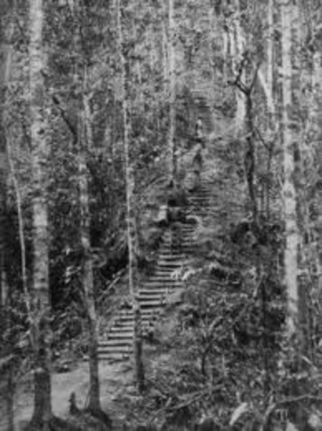 Japanese begin their retreat and the australian advance towards kokoda commences