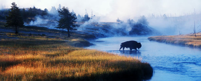 Yellowstone