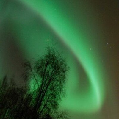 Timeline: Family Timeline